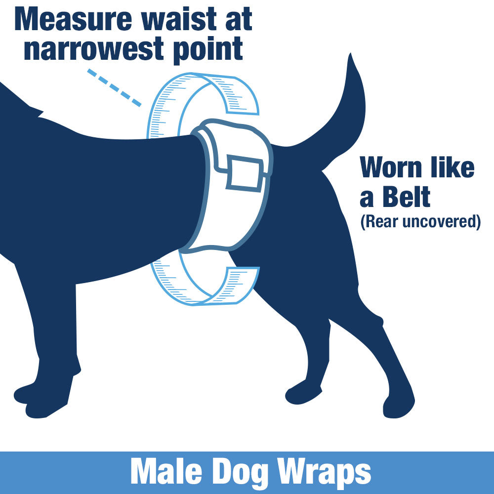 ValueWrap Male Wraps, Disposable Dog Diapers, Carbon, 1-Tab Large, 144 Count - Activated Charcoal, Snag-Free Fastener, Leak Protection, Wetness Indicator 