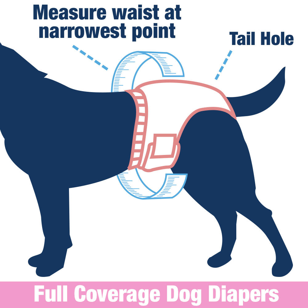 ValueFresh Female Dog Disposable Diapers, XX-Large, 144 Count - Full Coverage w/Tail Hole, Snag-Free Fasteners, Leak Protection, Wetness Indicator 