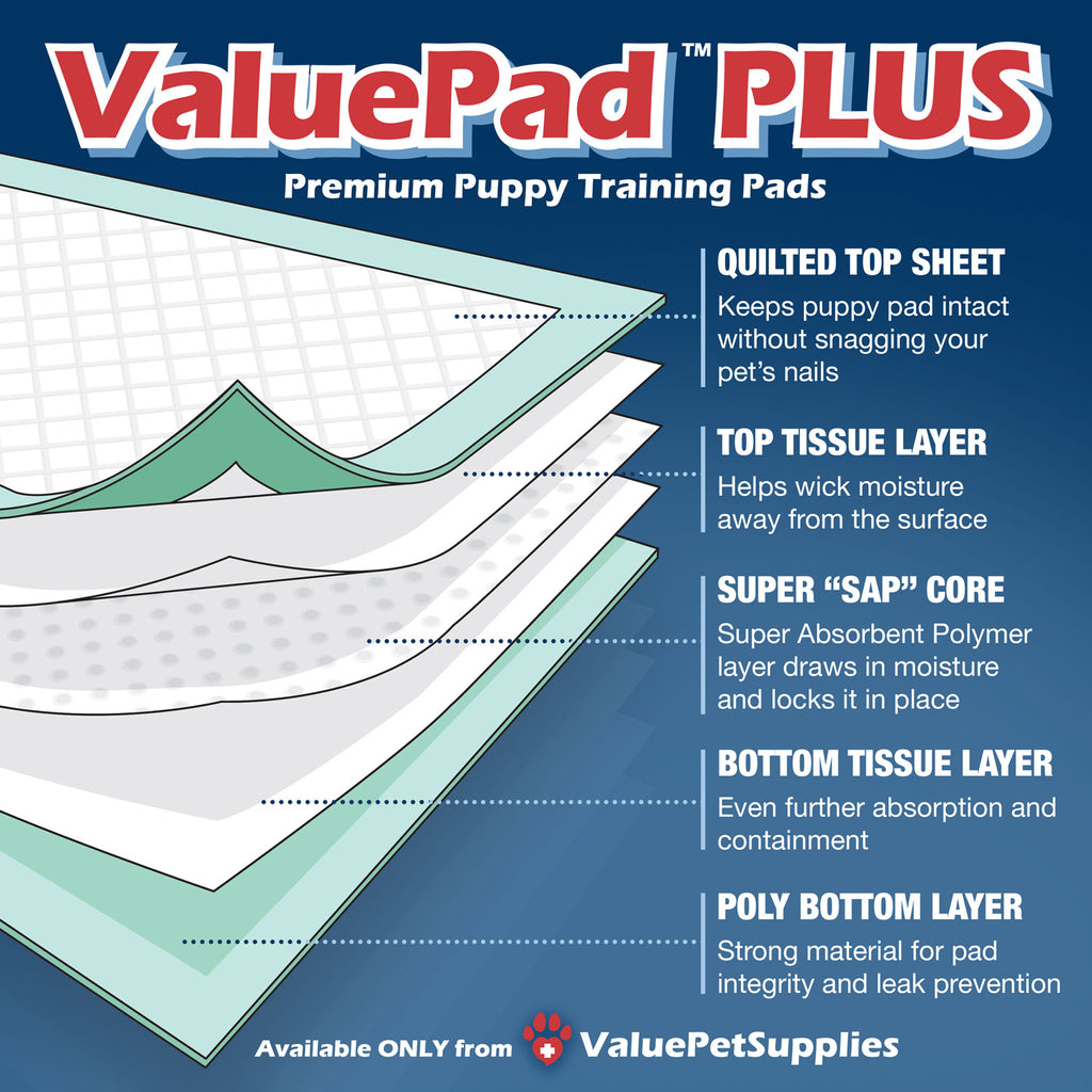 ValuePad Plus Puppy Pads, Small 17x24 Inch, 600 Count BULK PACK - Premium Pee Pads for Dogs, Tear Resistant, Super Absorbent Polymer Gel Core, 5-Layer Design 